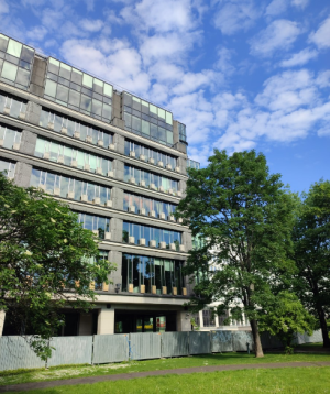 Image-1